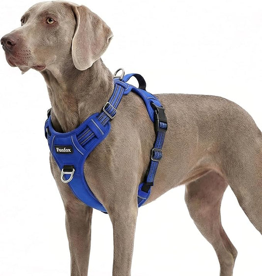 Funfox Dog Harness No Pull, Adjustable Pet Vest Harness, Super Soft Material with Vertical Handle Easy Control, Reflective Night Walking, 2 Leash Clips for XLarge Dogs, Blue, XL