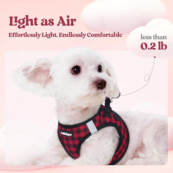 rabbitgoo Dog Harness Small Sized and Leash Set, Step in Soft Light Puppy Vest, Breathable Mesh Pet Harness, Reflective for Safe Easy Walking, Red Plaid S