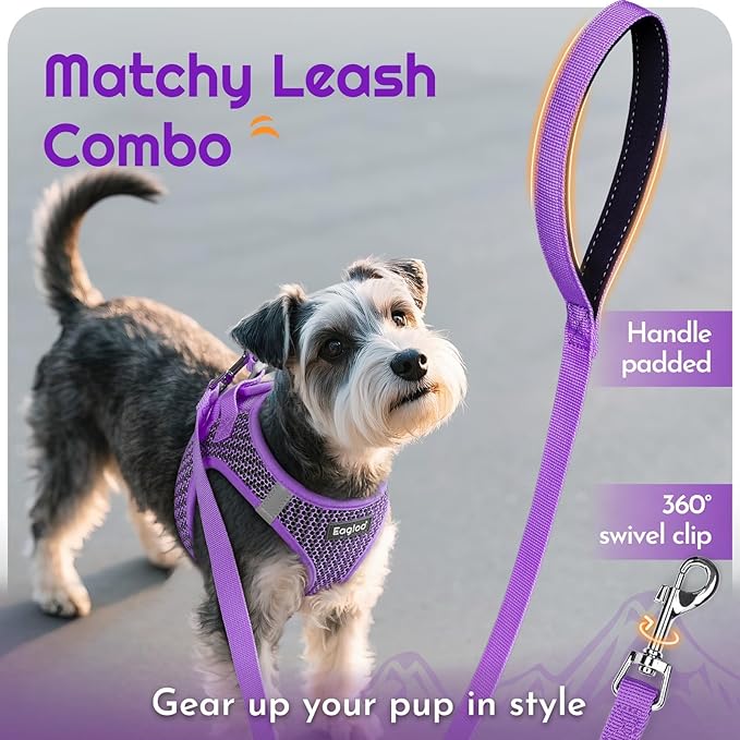 Eagloo Small Dog Harness and Leash Set, Step in Puppy Vest with Breathable Soft Mesh, Walking Reflective Pet Harness for Small Dogs, Purple, M