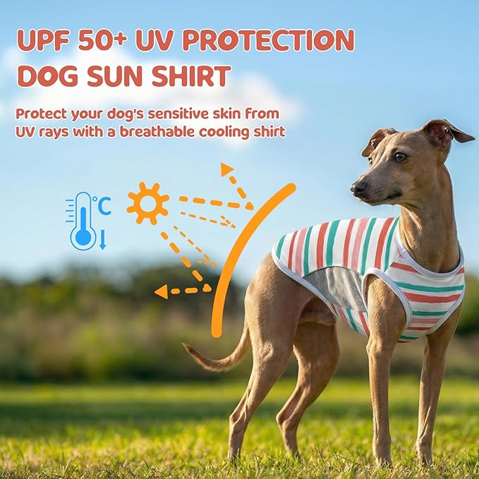 UPF 50+ Sun Protection Dog T-Shirt, 2 Pack Lightweight Sleeveless Dog Vest for Medium Dogs Girl – Reflective Strips, Quick-Dry Pet Apparel, Sports Fan Shirt P23ST00512XXL