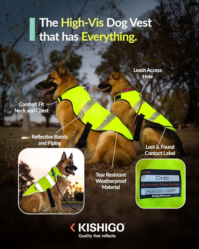 Reflective Dog Safety Vest, Harness and Collar Compatible, Waste Bag Holder, Water Resistant, Adjustable Neck and Chest, Day or Night Walking, High-Visibility Protection (Lime, XL)