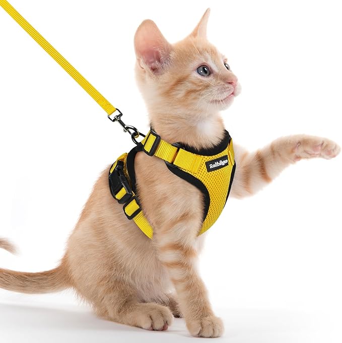 rabbitgoo Cat Harness and Leash Set, Escape Proof Kitten Harness for Safe Outdoor Walks, Soft Breathable Adjustable Vest with Reflective Strips for Kittens and Extra Small Cats, Yellow, XXS
