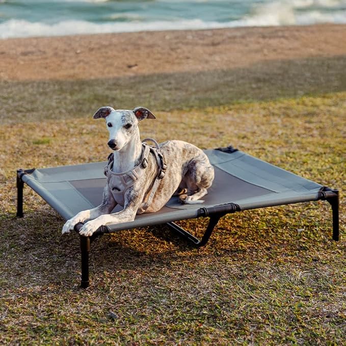 FUNNY FUZZY Elevated Dog Bed with Canopy,Grey, Large(36"x30"x7")–Outdoor Pet Cot with UV Protection, Breathable Mesh for Cooling, Indoor & Outdoor Use for Dogs up to 120 lbs