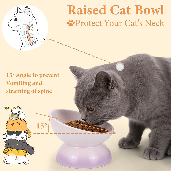 Elevated Cat Food Bowl 4 Pack 5 Oz Ceramic Raised Tilted Water Dishes, 15° Tilt Anti Vomiting, Protect Pets' Spines Bowls for Small Dog, Fat Faced Cat, Kitten