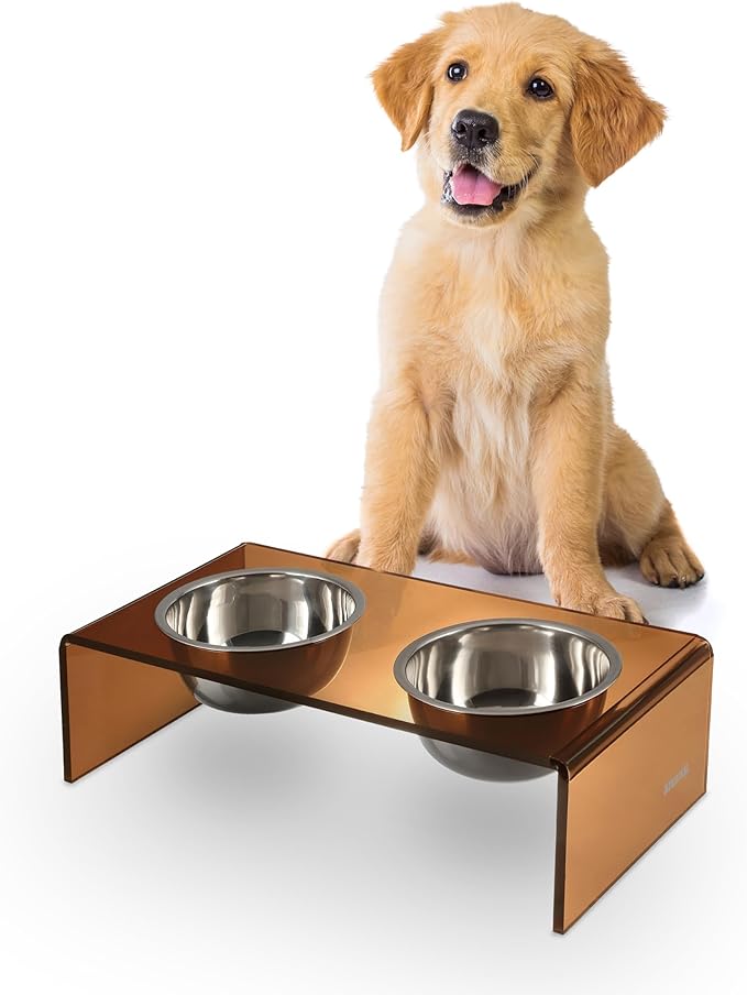 THE LICKER Store DBL2000D Keaton 5" Small/Medium Modern Acrylic Rectangular Elevated Pet Feeder with 20oz 2-Stainless Steel Bowls, Amber/Chrome