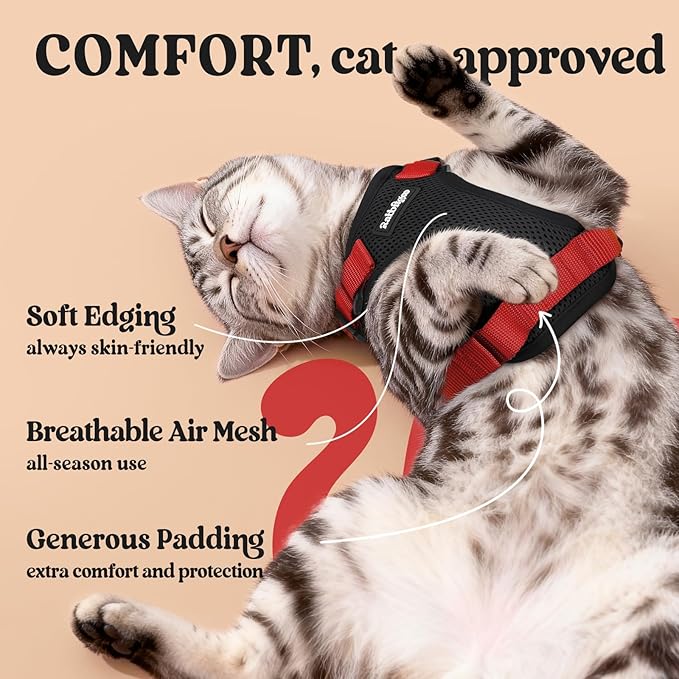 rabbitgoo Cat Harness and Leash Set, Escape Proof Kitten Harness for Safe Outdoor Walks, Soft Breathable Adjustable Vest with Reflective Strips for Kittens and Small Cats, Black & Red, XS