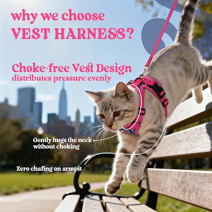 rabbitgoo Cat Harness and Leash Set, Escape Proof Vest Harness for Safe Outdoor Walks, Soft Breathable Adjustable Vest with Reflective Strips for Small and Average Cats, Coconut Fuchsia, S