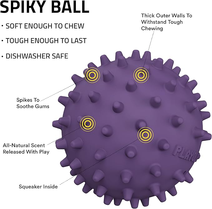 Playology Dog Toys | Squeaky Spiky Chew Ball for Medium Dogs | Bacon Scented Dog Ball for Tough Chewers