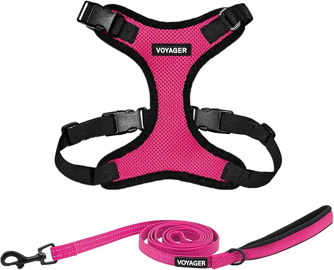 Best Pet Supplies Voyager Step-in Lock Pet Harness w Reflective Pet Leash Combo Set with Neoprene Handle 5ft - Supports Small, Medium and Large Breed Puppies/Cats - Fuchsia/Black Trim Set, XS
