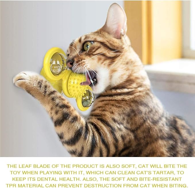 GBSYU Interactive Windmill Cat Toys with Catnip : Cat Toys for Indoor Cats Funny Kitten Toys with LED Light Ball Suction Cup‖Cat Nip Toy for Cat chew Exercise