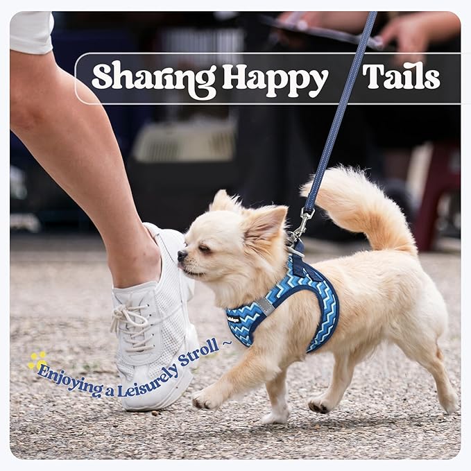 rabbitgoo Dog Harness Small Sized and Leash Set, Step in Soft Light Puppy Vest, Breathable Mesh Pet Harness, Reflective for Safe Easy Walking, Blue Zigzag XXS