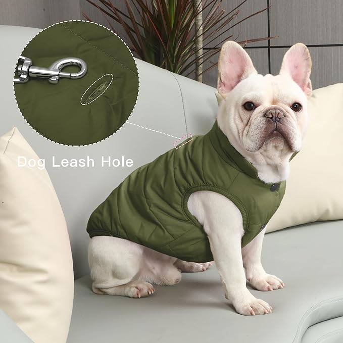 JoyDaog 2 Layers Fleece Lined Warm Dog Jacket for Winter Cold Weather,Soft Windproof Large Dog Coat,Green XXL