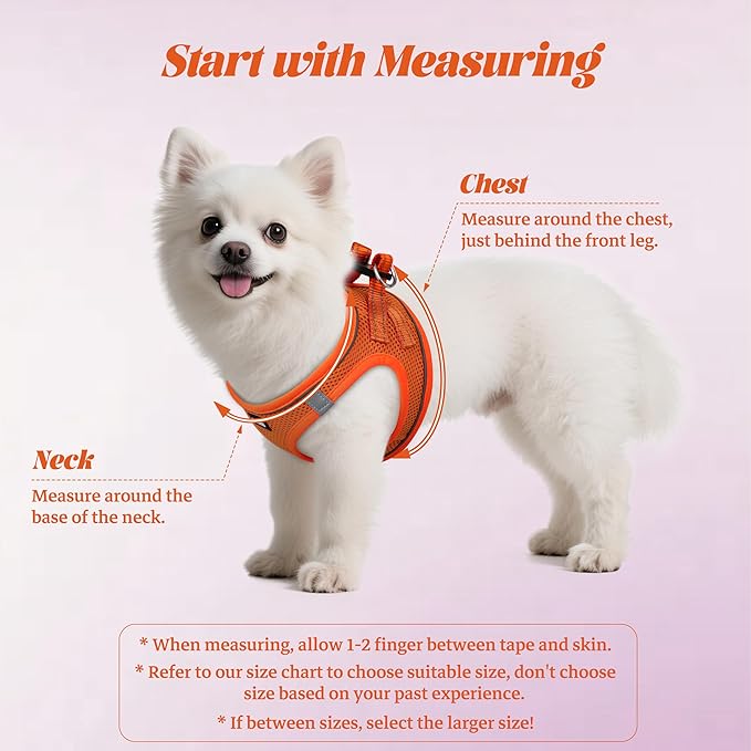 YIMEIS Dog Harness and Leash Set, No Pull Soft Mesh Pet Harness, Reflective Adjustable Puppy Vest for Small Medium Large Dogs, Cats (Orange01, X-Small (Pack of 1)
