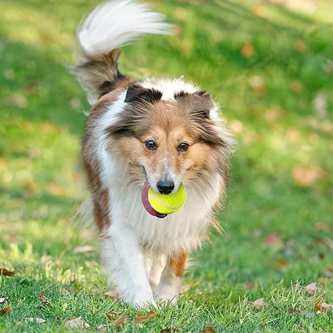 MEKAPLE Mini Tennis Ball 12 Pack for Pet Playing Fecth, 2 inch Dog Training Tennis Balls for Small Size Dogs, Interactive Dogs Playing Balls Fits 2 Inch Automatic Dog Ball Launcher