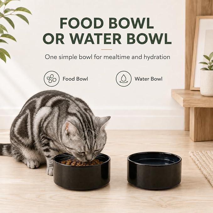 Havniva Cat Bowls Water Bowl Set of Two, 5.1” Ceramic Cat Food and Water Bowl Whisker Friendly Pet Food Bowls for Indoor Cats, Wide Cat Water Dish Prevent Whisker Fatigue Non Slip Cat Feeder