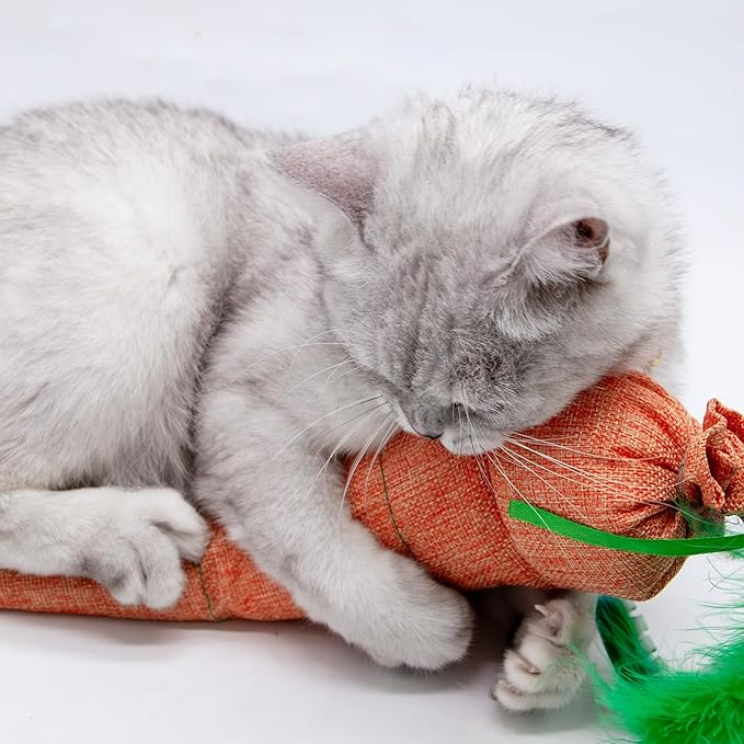 Carrot Catnip Toys with Crinkle Paper for Indoor Cats to Keep Them Busy, Soft Linen, Interactive Cat Feather Toys for Kitten Kicking, Teething, Exercise, Catmint Toys for All Breeds (2 PCS)