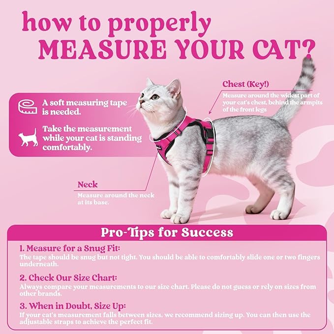 rabbitgoo Cat Harness and Leash Set, Escape Proof Vest Harness for Safe Outdoor Walks, Soft Breathable Adjustable Vest with Reflective Strips for Average to Large Cats, Rose Red, M