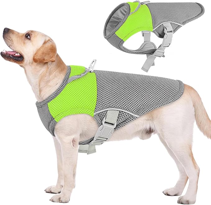 AOFITEE Cooling Vest for Dogs, Breathable Dog Cooling Vest with Harness D-Ring, Dogs UV Protection Shirt Pet Cooler Jacket, Lightweight Dog Sun Shirt for for Summer Hot Weather, Green L