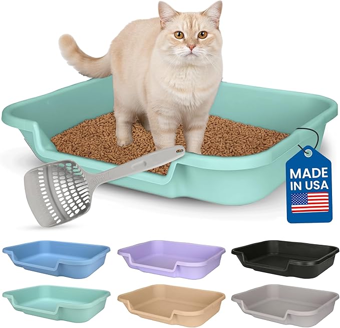 KittyGoHere Senior Cat Litter Box, Large Litter pan with Long-Handle Jumbo Scoop, Open Top Low Entrance Kitty Litter Box, Lightweight Low Entry Litters Box, Durable, Made in USA (Apple Green)