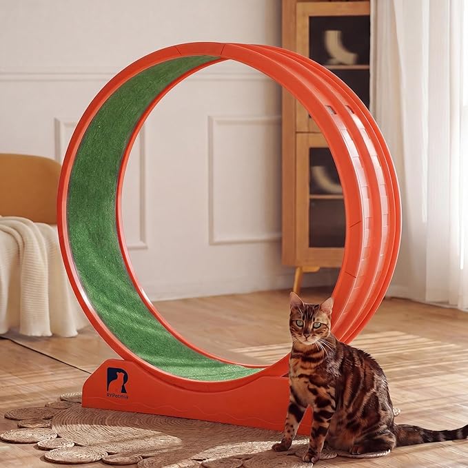 Cat Exercise Wheel, 39.4 Inch Indoor Treadmill for Cats with Carpeted Runway, Screw-Fixed Assembly for Easy Setup, Silent & Safe Fitness Equipment for Most Cats