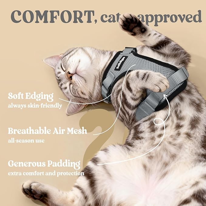 rabbitgoo Cat Harness and Leash Set, Escape Proof Kitten Harness for Safe Outdoor Walks, Soft Breathable Adjustable Vest with Reflective Strips for Kittens and Small Cats, Grey, XS