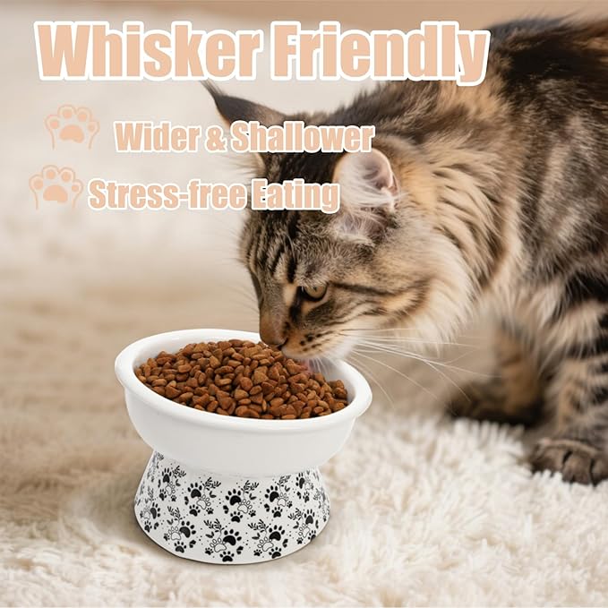 2 Pack Ceramic Elevated Cat Bowls, 6" Extra Wide Tilted Raised Pet Dish, Whisker Friendly Food and Water Bowl for Small Dogs, Anti Vomiting & Protect Pet's Spine, Microwave Dishwasher Safe