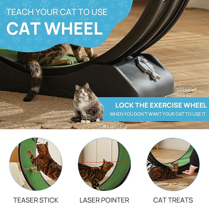 Cat Exercise Wheel, 39.4 Inch Indoor Treadmill for Cats with Carpeted Runway, Screw-Fixed Assembly for Easy Setup, Silent & Safe Fitness Equipment for Most Cats