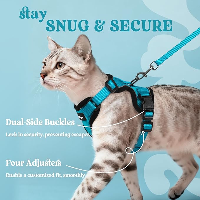 rabbitgoo Cat Harness and Leash Set, Escape Proof Vest Harness for Safe Outdoor Walks, Soft Breathable Adjustable Vest with Reflective Strips for Average to Large Cats, Teal, M
