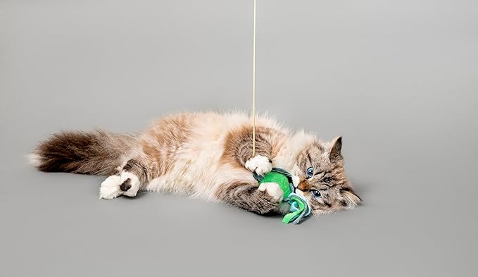 Cat Toys | Plush Turtle Teaser Cat Wand Toy | Eco Friendly Interactive Cat Toys for Indoor Cats