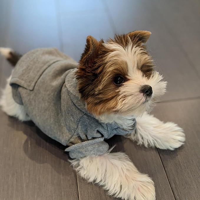 Jecikelon Soft Dog Hoodies for Small Dogs, Fleece Puppy Sweatshirt with Pockets, Warm Winter Cold Weather Coats for Pet Cat, Cute Clothes Puppy Costume (Grey, Medium)