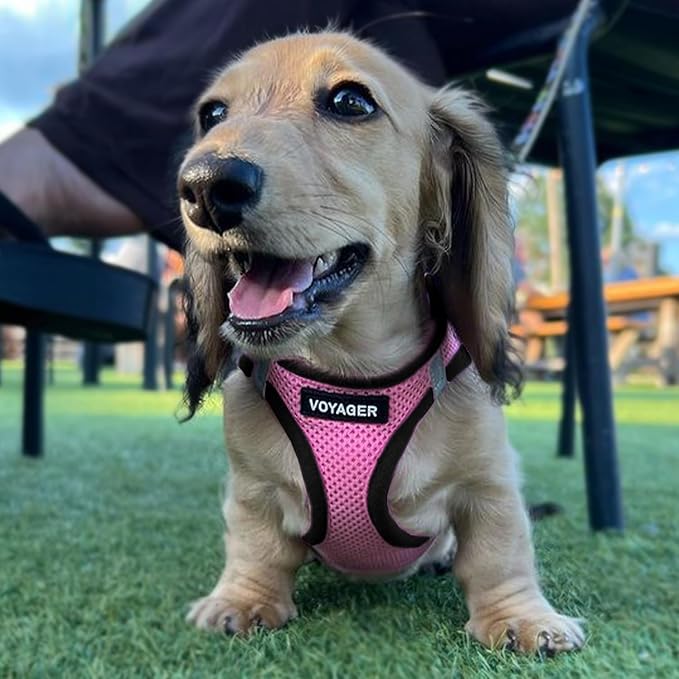 Best Pet Supplies - All Weather Mesh / Plush, Reflective, No Pull Harness for Small, Medium Dogs, Cats - Secure with Hook & Loop Fastener, Buckle, Double D-Rings - Pink/Black Trim, XL
