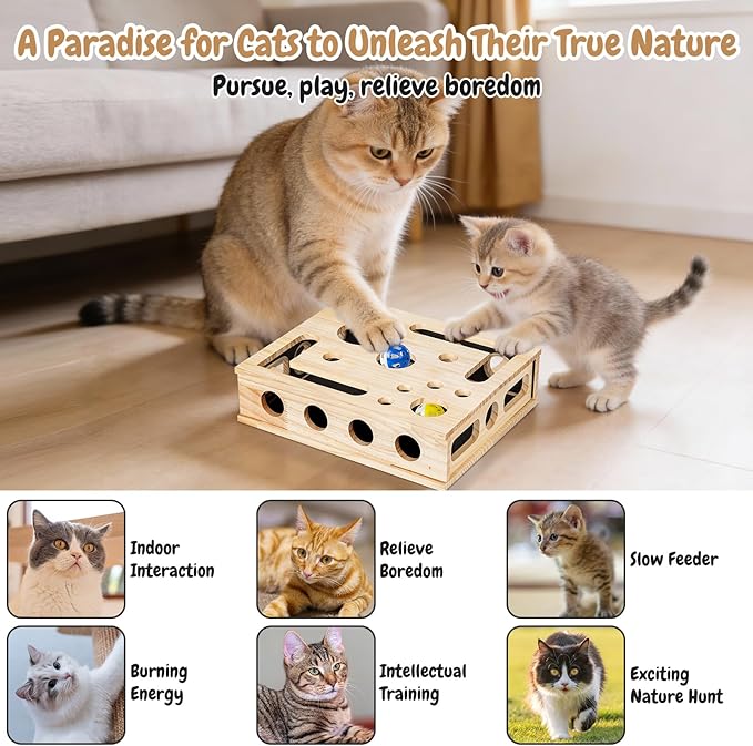 Cat Nail File Scratch Enrichment Box, Cat Scratch Puzzle Enrichment Box with Sandpaper Inside, Nail File Stress Free Alternative to Clippers and Grinders, Fun Cats Indoor Scratching for Boxes Game