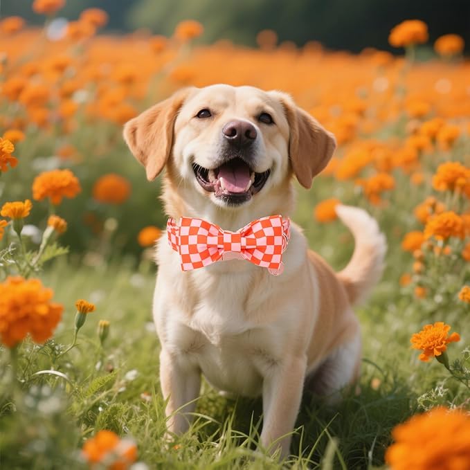 DOGWONG Orange Pink Plaid Dog Collar with Bow - Adjustable and Comfortable Autumn Dog Collar Fall Necklace for Large Medium Small Pet,XL