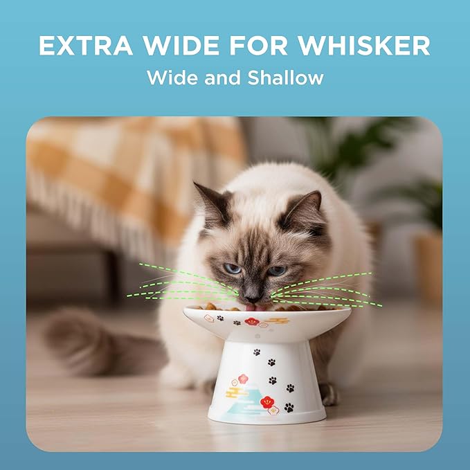 Necoichi Elevated Cat Food Bowl, Ceramic (Porcelain), Whisker-Friendly, Dishwasher & Microwave Safe, Non-Slip Silicone Base, Anti-Vomiting & Neck Fatigue (Fuji, Extra Wide, 2-Cups Capacity).