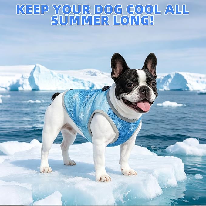 KOOLTAIL Dog Cooling Vest, Sun Protection Easy on off Cooling Pet Shirt Harness with Zipper & Leash Ring, Breathable Summer Quick Dry Clothes, Relief in Hot Weather for Small Medium Large Dogs, Blue L