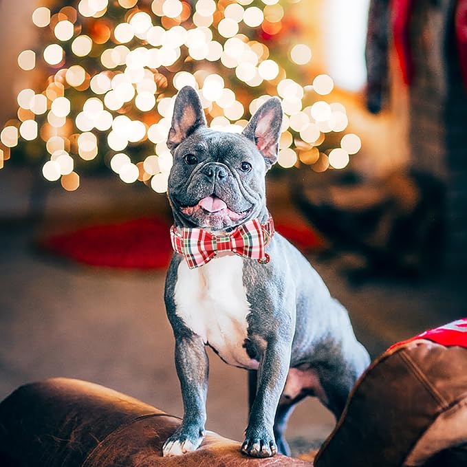 DOGWONG Christmas Dog Collar with Bow Tie - Christmas Red Plaid Puppy Collar, Adjustable Red Checkered Dog Collars for Girl Boy Dogs, XL