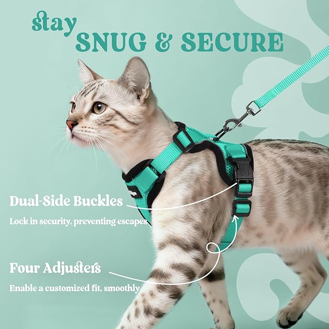 rabbitgoo Cat Harness and Leash Set, Escape Proof Kitten Harness for Safe Outdoor Walks, Soft Breathable Adjustable Vest with Reflective Strips for Kittens and Small Cats, Emerald, XS
