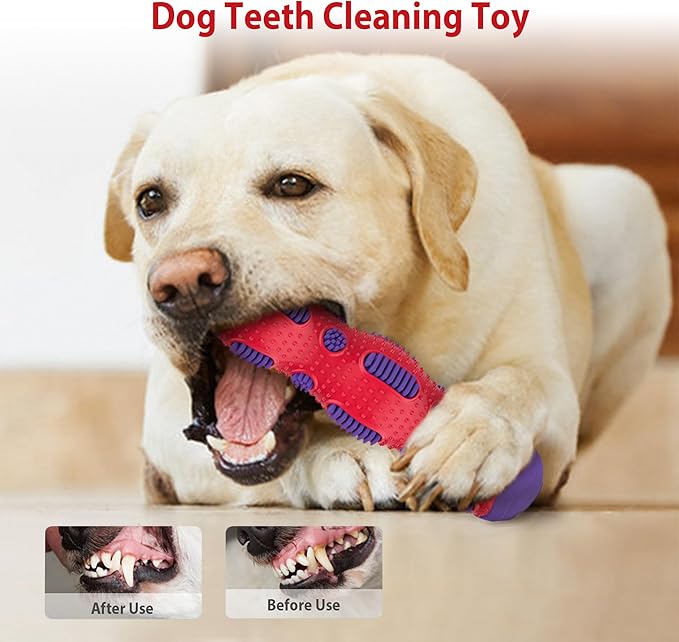 Gigwi Toothbrush Stick Dog Toy for Teeth Cleaning, Durable Rubber Dental Chewy Toy for Medium and Large Dog, Purple Color