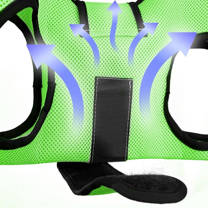 PawsUp Pet Grooming Hammock Kit for Large Dogs, 4-in-1 Professional Grooming Sling for Nail Trimming, Includes Heavy Duty Clipper, Nail File, and Steel Comb – Green