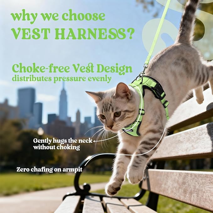 rabbitgoo Cat Harness and Leash Set, Escape Proof Kitten Harness for Safe Outdoor Walks, Soft Breathable Adjustable Vest with Reflective Strips for Kittens and Extra Small Cats, Light Green, XXS