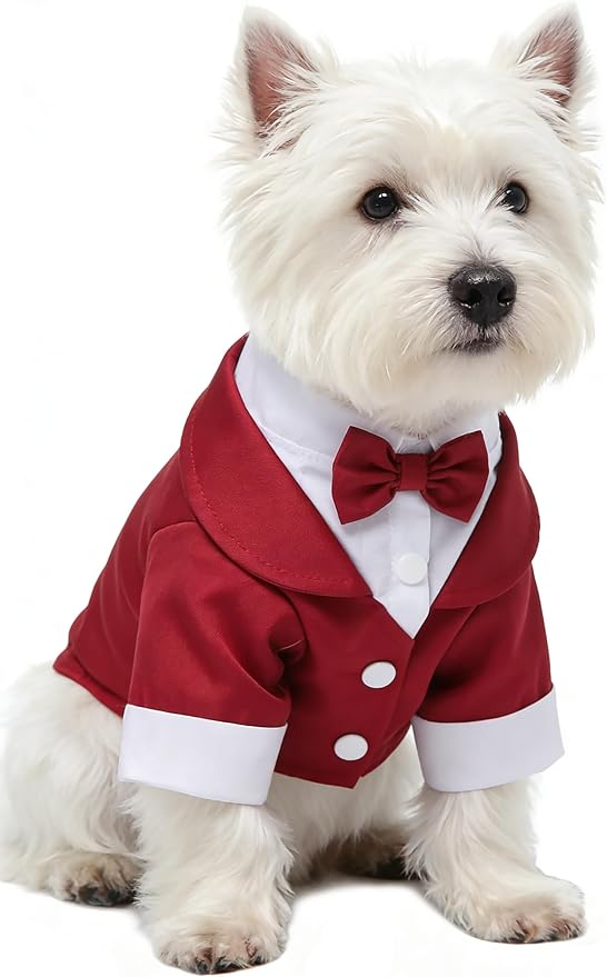 GabeFish Pets Wedding Jackets Suit for Dogs with Bow Tie Puppy Cat Formal Clothes Shirt Tuxedo (Red, S (Chest 12.9in/33cm))