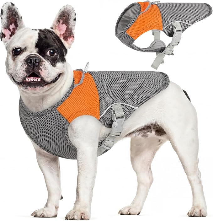 AOFITEE Dog Cooling Vest Small Dog, Lightweight Cooling Jacket for Dogs, Breathable Dogs Cooler Shirt with Harness D-Ring, Pet Sun Shirt UV Protection Ice Vest for Small Medium and Large Pet, S