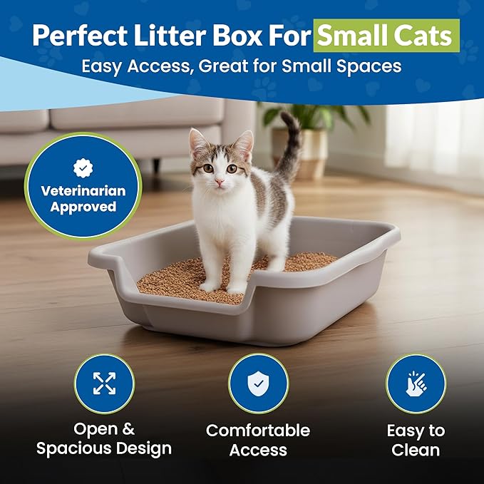 KittyGoHere Senior Cat Litter Box, Small Litter pan, Open Top Low Entrance Kitty Litter Box, Lightweight Low Entry Litters Box, Durable, Made in USA (2 Pack - Misty Gray)
