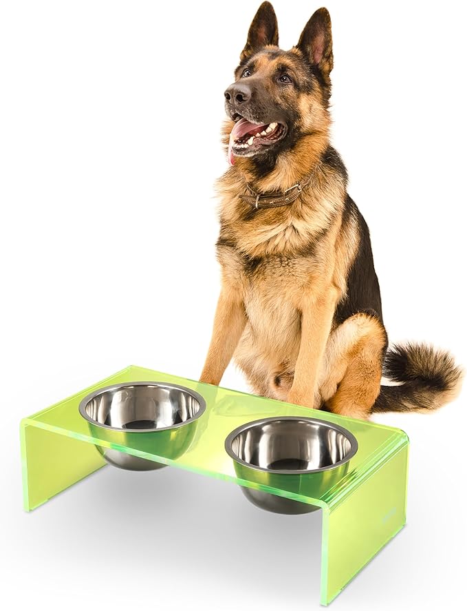 THE LICKER Store DBL2001G Keaton 7.5" Medium/Large Modern Acrylic Rectangular Elevated Pet Feeder with 54oz 2-Stainless Steel Bowls, Green/Chrome