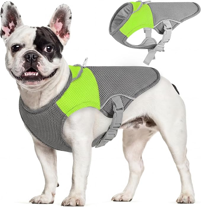 AOFITEE Dog Cooling Vest Small Dogs, Breathable Cooling Jacket for Dogs UV Protection Shirt, Dog Cooler Shirt with Harness D-Ring, Lightweight Summer Cooler Vest for Small Medium and Large Pet