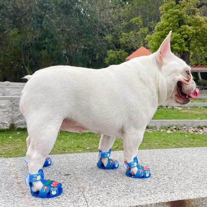 Cute Summer Dog Shoes Sweet Cherry Puppy Sandals Pet Jelly Shoes Flats, Dog Booties Paw Protector for Summer Hot Pavement (Candy Blue, #6: 2.68''x2.05''(Length*Width))