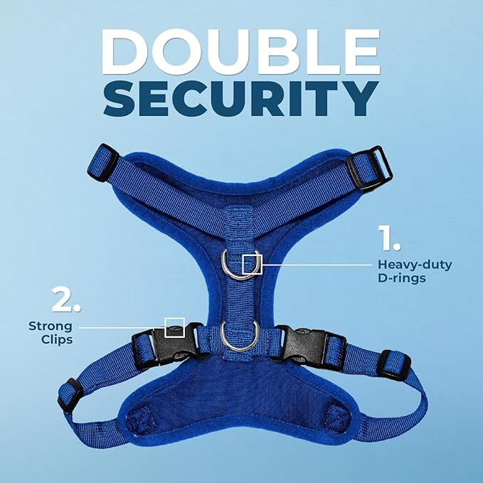 Best Pet Supplies Voyager Step-in Lock Pet Harness w Reflective Pet Leash Combo Set with Neoprene Handle 5ft - Supports Small, Medium and Large Breed Puppies/Cats - Royal Blue Set, L