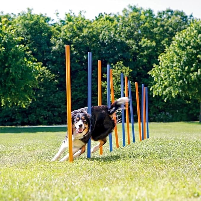 PAWISE Dog Agility Training Equipment,12 Weave Poles for Dogs with Stakes & Carry Bag,Dog Agility Training Set for Outdoor Obstacle Course,Backyard Exercise & Training Equipment for Shepherd Malinois