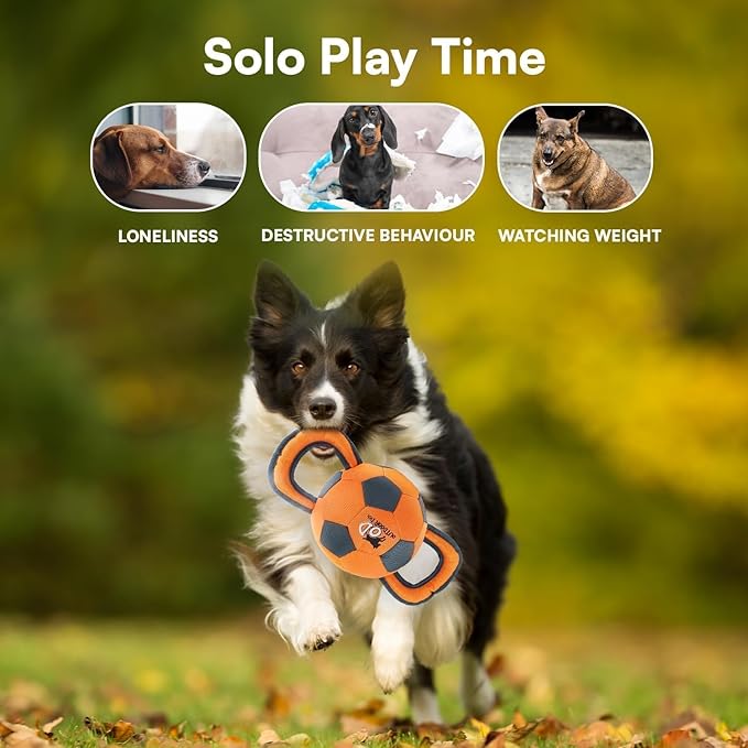 ALL FOR PAWS Ballistic Handle Ball Dog Toy with Squeaker, Interactive Handle Tug of War Ball Toy for Small Medium Large Dogs (Receive one of the Three Colors)