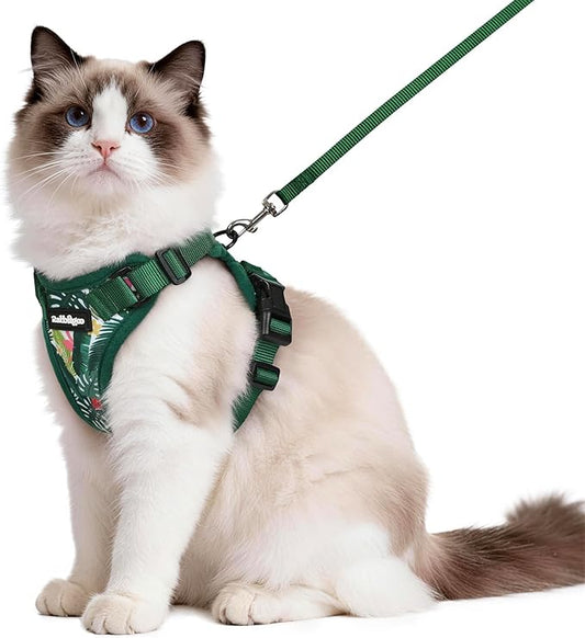 rabbitgoo Cat Harness and Leash Set, Escape Proof Vest Harness for Safe Outdoor Walks, Soft Breathable Adjustable Vest with Reflective Strips for Average to Large Cats, Rainforest Green, M